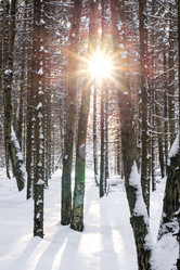 Similar image 21529356