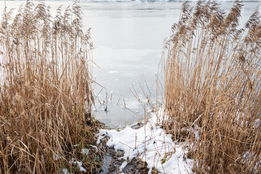 Similar image 21535486