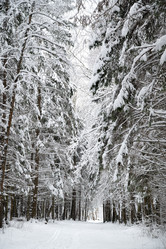 Similar image 21535487