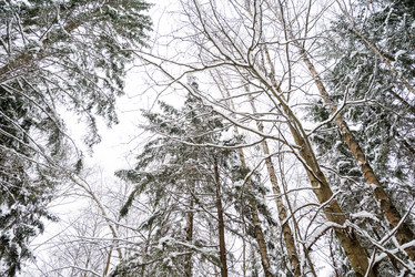 Similar image 21535286