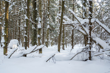 Similar image 21535491