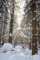 Similar image 21534053