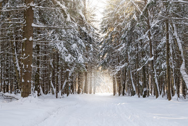 Similar image 21535493