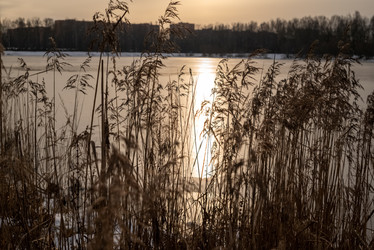 Similar image 21528781