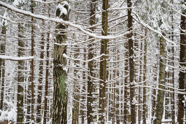 Similar image 21534056