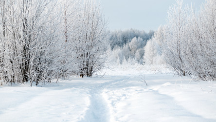 Similar image 21534058