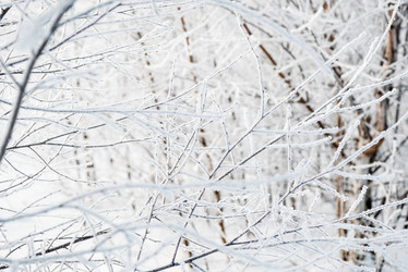 Similar image 21535495