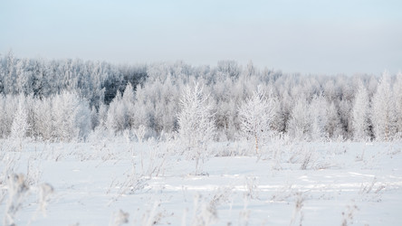 Similar image 21534060