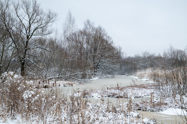 Similar image 21535496