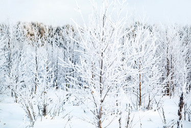 Similar image 21534061