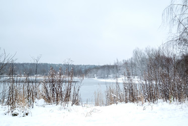 Similar image 21528786