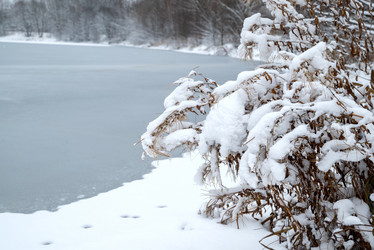 Similar image 21536018