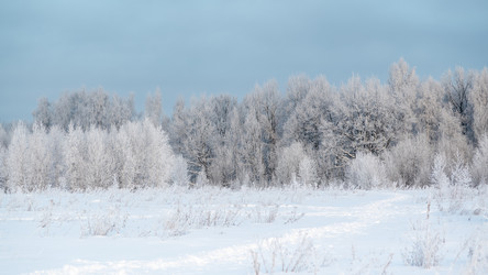 Similar image 21534062