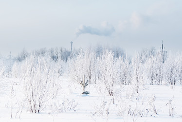 Similar image 21536019