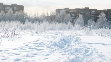 Similar image 21528788