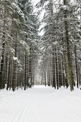 Similar image 21534064