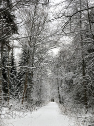 Similar image 21528789