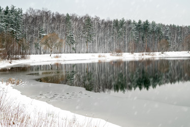 Similar image 21531459