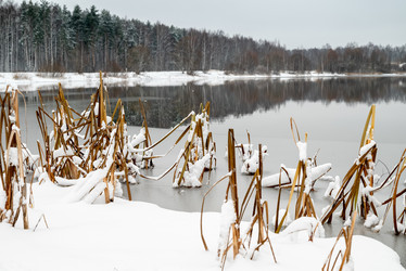 Similar image 21536025