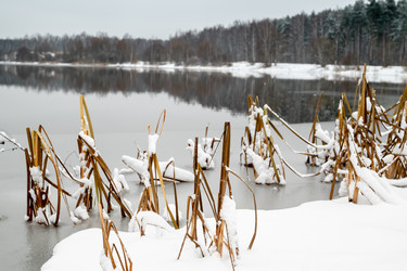 Similar image 21528793