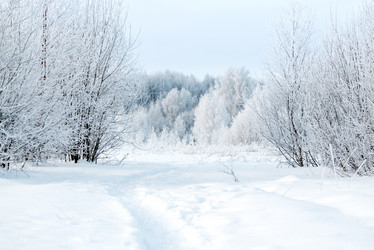 Similar image 21531461