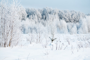 Similar image 21534069