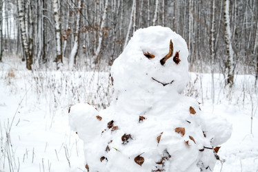 Similar image 21528794