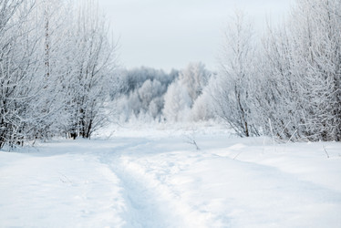 Similar image 21534070