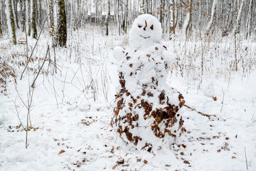 Similar image 21534071