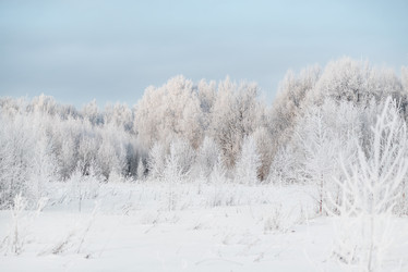 Similar image 21528796