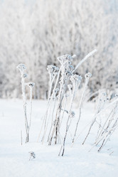 Similar image 21528798