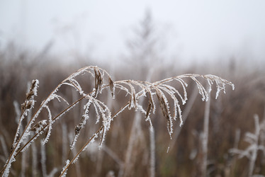 Similar image 21534073