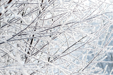 Similar image 21528801