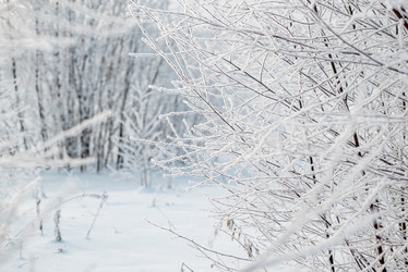 Similar image 21534074