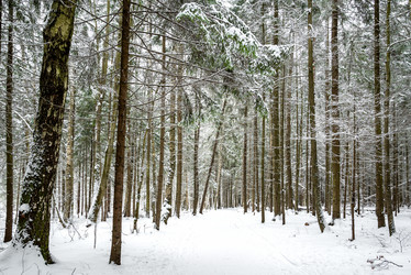 Similar image 21534076