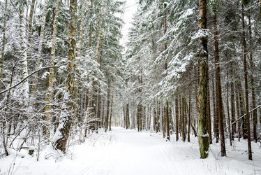 Similar image 21528803