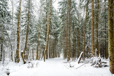 Similar image 21528804