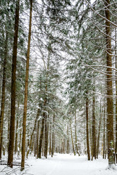 Similar image 21528805