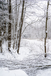 Similar image 21534078