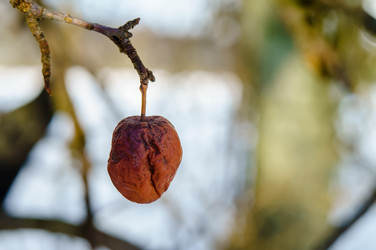 Similar image 21530897