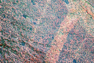 Similar image 21534683