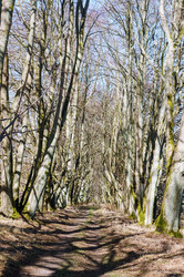 Similar image 21534685