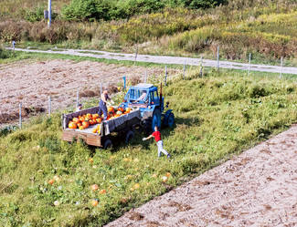 Similar image 21531410