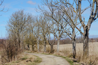 Similar image 21531411