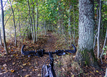 Similar image 21531412