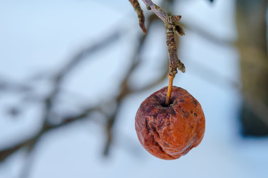 Similar image 21530126