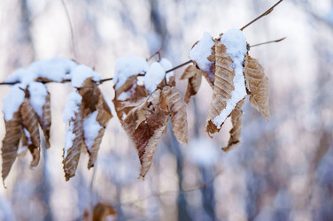 Similar image 21530901