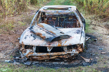 Similar image 21530904