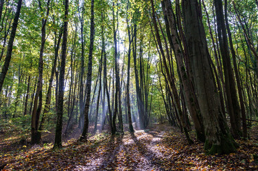 Similar image 21530133