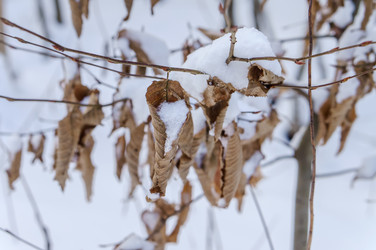 Similar image 21530134